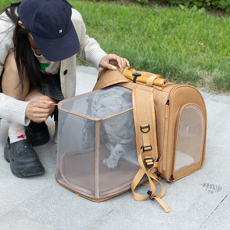 Portable cat bag, expandable l - đánh giá và giá Foldable Backpack Small